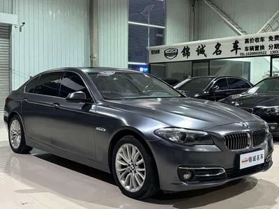 2013 BMW 5 Series 525Li Luxury, фото 3, лот 10445045