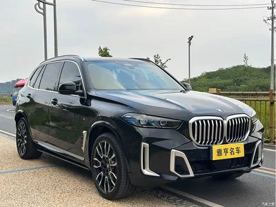 2023 BMW X5 xDrive 40Li M Sport Black Night Package, фото 3, лот 11179050