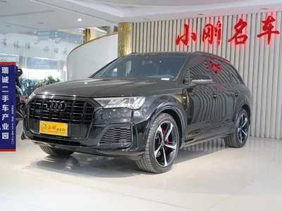 2022 Audi Q7 55 TFSI quattro S line Ice & Snow Edition, фото 1, лот 10233177