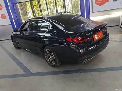 2022 BMW 5 Series 525Li M Sport Package, фото 4, лот 10767690