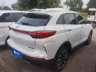 2018 Weltmeister EX5 400 Extra Innovation Edition, фото 3, лот 10817250
