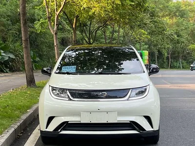 2024 BYD Dolphin Glory Edition 420km Fashion Edition, фото 2, лот 11247442