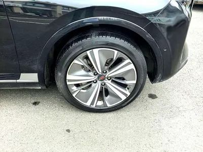 2021 Hongqi E-HS9 460km Flagship Comfort 6-seater, фото 3, лот 10288646
