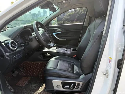 2020 WEY VV7 Model 2.0T Flagship, фото 4, лот 10611167