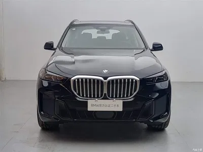 2025 BMW X5 Model xDrive 30Li Exclusive M Sport Blackout Package, фото 2, лот 10409628
