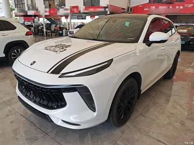 2021 Dongfeng Fengxing T5 EVO 1.5TD DCT Starlight Edition, фото 2, лот 11158815