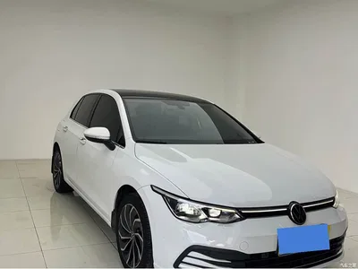 2021 Volkswagen Golf 280TSI DSG Pro, фото 1, лот 10258984