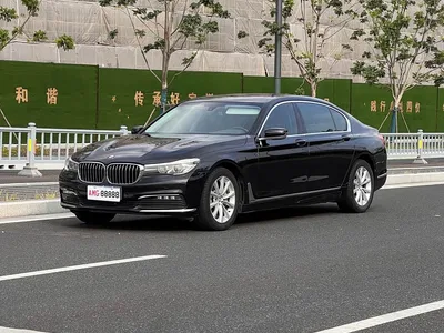 2016 BMW 7 Series 730Li Luxury, фото 1, лот 10332035
