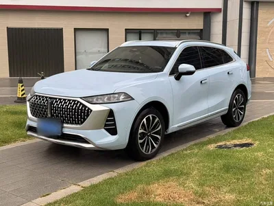 2021 WEY Mocha 2.0T 4WD Premium Edition, фото 2, лот 11152162