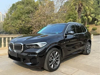 2021 BMW X5 (Import) xDrive30i M Sport Package, фото 1, лот 10464300