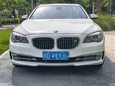 2009 BMW 7 Series 750Li Leading, фото 2, лот 10459440