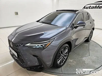 2024 Lexus NX 350h Luxury, фото 2, лот 10212740