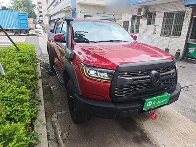2020 Great Wall Pao 2.0T Off-Road Auto Gasoline 4WD Premium Edition GW4C20B, фото 4, лот 10435209