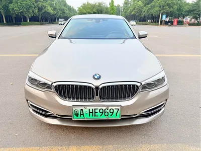 2020 BMW 5 Series New Energy 530Le Range Upgrade Luxury Package, фото 2, лот 10474078