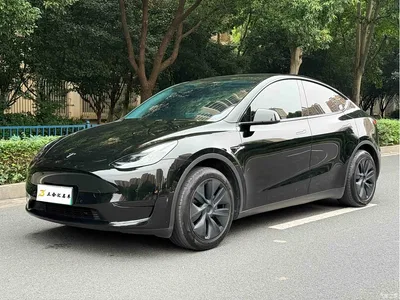 2023 Tesla Model Y Rear-Wheel Drive Edition, фото 1, лот 11102981