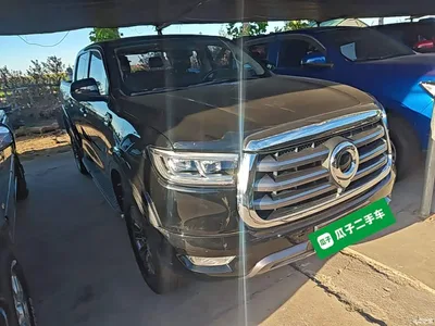 2021 Great Wall Pao 2.0T Passenger Global Edition Automatic Gasoline 2WD Comfort Standard Box GW4C20B, фото 4, лот 10334948
