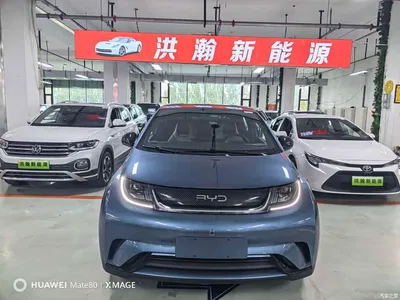 2025 BYD Dolphin 420km Freedom Edition, фото 2, лот 10257488