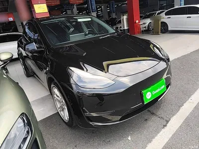 2021 Tesla Model Y Standard Range Rear-Wheel Drive, фото 4, лот 10390067