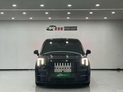 2022 ZEEKR 009 WE Edition, фото 2, лот 10482376
