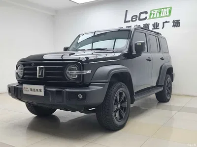 2021 Tank 300 Off-road Version 2.0T Conqueror, фото 1, лот 10345109