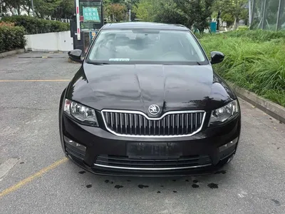 2017 Škoda Octavia 1.6L Automatic Smart Edition, фото 3, лот 10349275