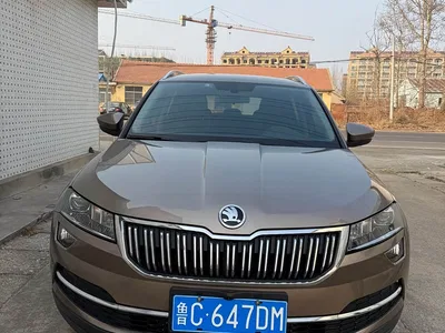 2020 Škoda Karoq TSI280 Smart Tech Edition China VI, фото 1, лот 10348327