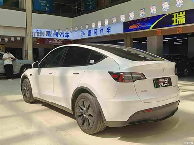 2023 Tesla Model Y Rear-Wheel Drive Edition, фото 3, лот 10680288