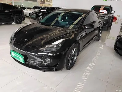 2022 Tesla Model 3 Model Rear-Wheel Drive Version, фото 2, лот 10369133