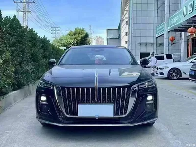 2024 Hongqi H5 2.0T Automatic Smart Connect Flag Smooth Edition, фото 2, лот 10289060