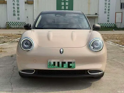 2021 Ora Good Cat 400km Standard Range Venus Edition (LFP), фото 2, лот 10887501