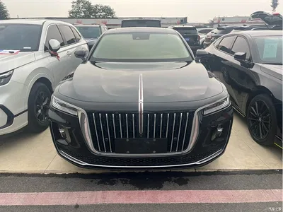 2020 Hongqi H9 2.0T Smart Connection Qi Xiang Edition, фото 2, лот 10288739