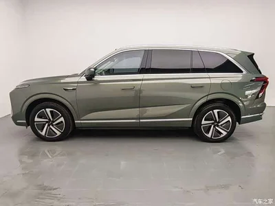 2025 WEY Lanshan AWD Max, фото 4, лот 11408769