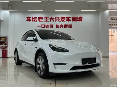 2022 Tesla Model Y Long Range AWD, фото 3, лот 11094968