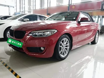 2015 BMW 2 Series (Import) 218i Convertible Coupe, фото 1, лот 10471513