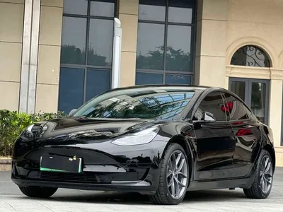 2020 Tesla Model 3 Standard Range Rear-Wheel Drive Upgrade, фото 1, лот 10360102
