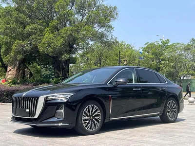2024 Hongqi H5 2.0T Automatic Smart Connect Flag Smooth Edition, фото 1, лот 10287952
