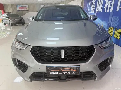 2019 WEY VV5 Upgrade 2.0T 2WD Flagship China V, фото 2, лот 10954761