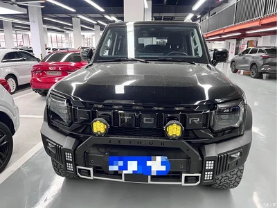 2024 Jetour Traveler 2.0T AWD Yueye PRO, фото 2, лот 11164988