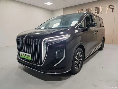 2024 Hongqi HQ9 Model 2.0T Luxury Edition, фото 1, лот 10287344
