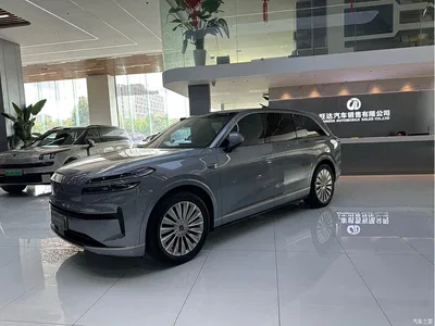 2025 Ledao L90 AWD Base Model, фото 1, лот 10830609