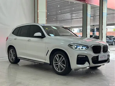 2018 BMW X3 xDrive30i Leading M Sport Package China V, фото 3, лот 10239020