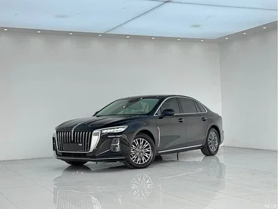 2023 Hongqi H5 2.0T Auto Smart Connect Flag Enjoy, фото 1, лот 10287810