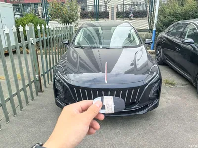 2023 Hongqi E-QM5 Facelift Basic Travel Edition, фото 2, лот 10662105