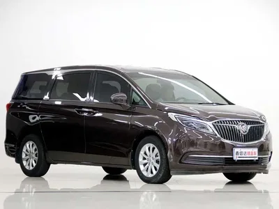 2017 Buick GL8, фото 3, лот 10243441
