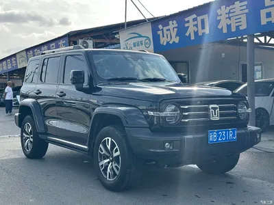 2023 Tank 300 Urban Edition 2.0T Very Stylish, фото 3, лот 10351064