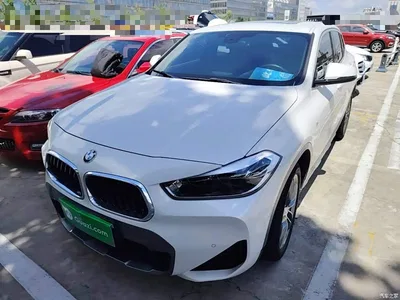 2020 BMW X2 sDrive25i Leading M Off-Road Package, фото 1, лот 10475600