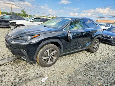 2019 LEXUS NX 300 BASE, фото 1, лот 10901026