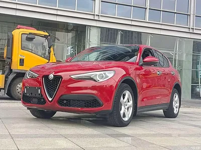 2017 Alfa Romeo Stelvio 2.0T 200HP Elite, фото 1, лот 11196589