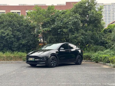 2024 Tesla Model Y Long Range AWD, фото 1, лот 11089471