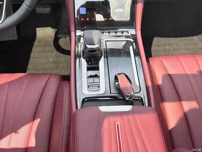 2025 Hongqi H5 2.0T Automatic Qixiang 500,000 Units Commemorative Edition, фото 3, лот 10289025